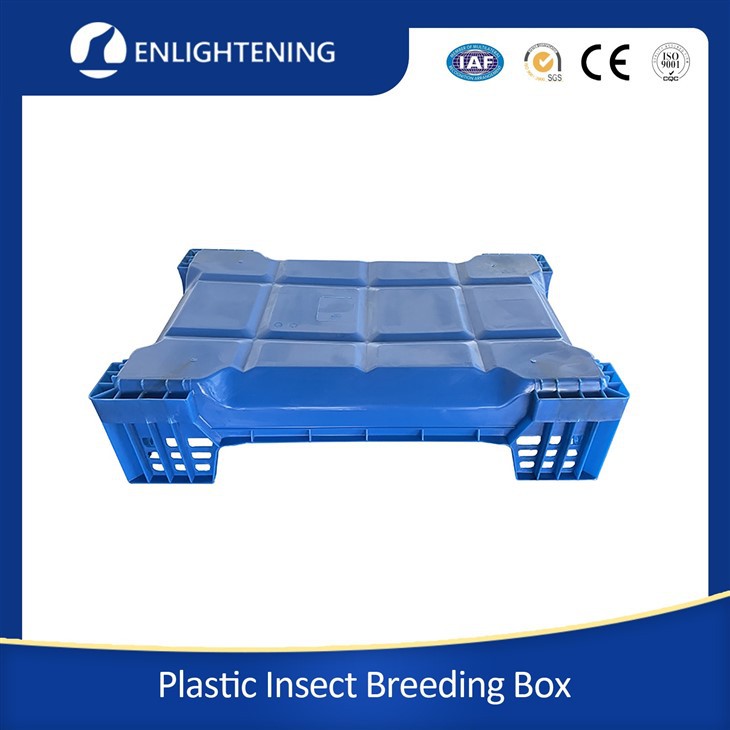 Black Soldier Fly Box supplier