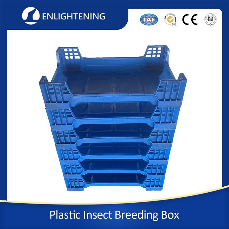 Black Soldier Fly Box manufacturer